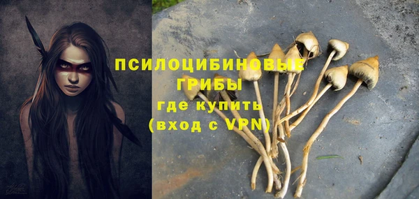 метадон Абаза